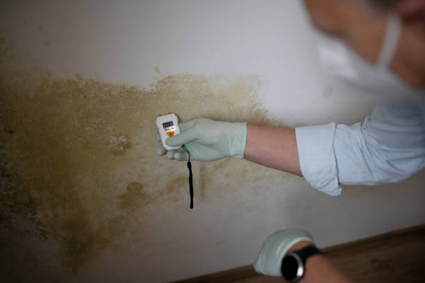 Best Mold Testing  in Lochbuie, CO